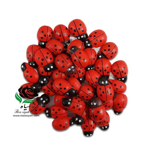 کفش دوزک پشت چسب دار