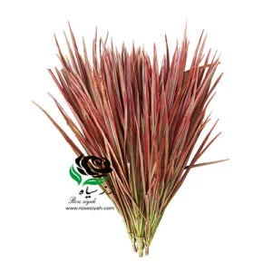 برگ تزئین گل