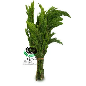 برگ تزئین گل