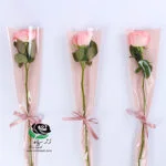 سلفون تک شاخه