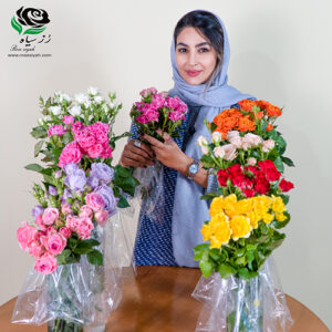 رز مینیاتوری خوشه‌ای