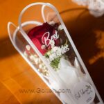 تک شاخه طلقی